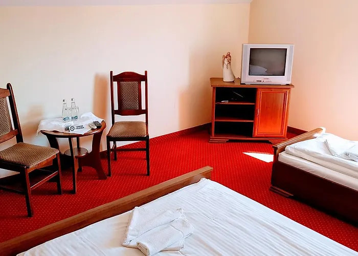 فندق مبيت وإفطار Kania Goscinne 3*